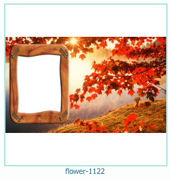 flower Photo frame 1122
