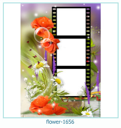flower Photo frame 1656