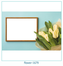 flower Photo frame 1679
