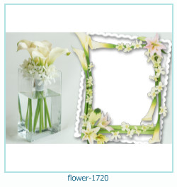 flower Photo frame 1720