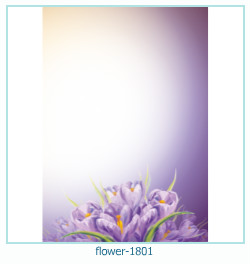 flower Photo frame 1801