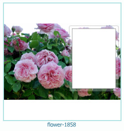 flower Photo frame 1858