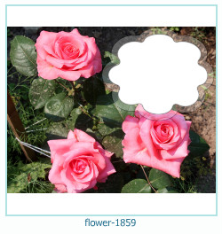 flower Photo frame 1859
