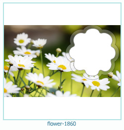 flower Photo frame 1860