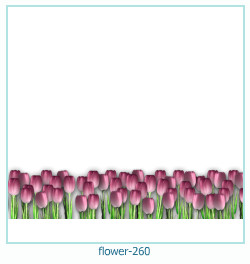 flower Photo frame 260