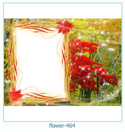 flower Photo frame 464