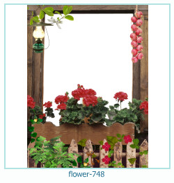 flower Photo frame 748