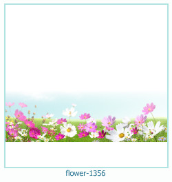flower Photo frame 1356