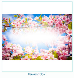 flower Photo frame 1357