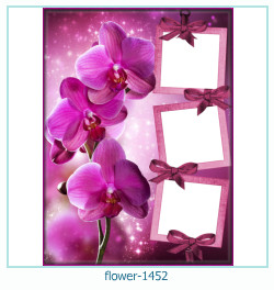 flower Photo frame 1452