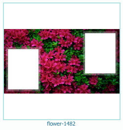 flower Photo frame 1482