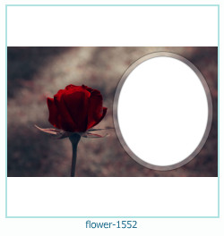 flower Photo frame 1552