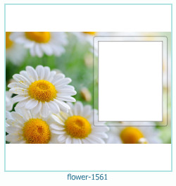 flower Photo frame 1561