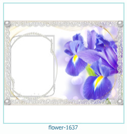 flower Photo frame 1637