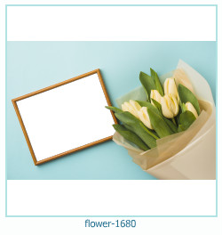 flower Photo frame 1680