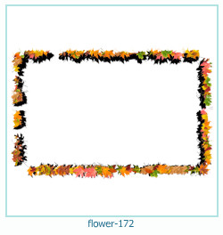 flower Photo frame 172