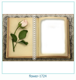 flower Photo frame 1724