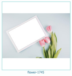 flower Photo frame 1745