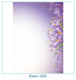 flower Photo frame 1800