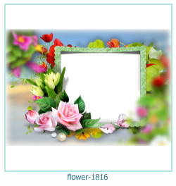 flower Photo frame 1816