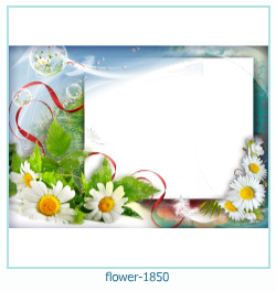 flower Photo frame 1850