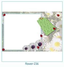flower Photo frame 236