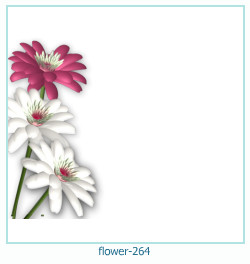 flower Photo frame 264