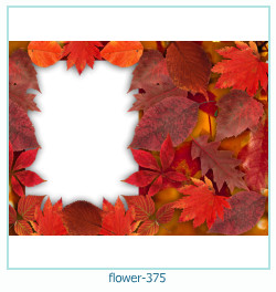 flower Photo frame 375