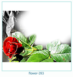 flower Photo frame 393