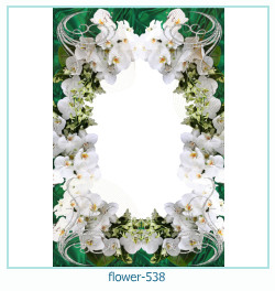 flower Photo frame 538