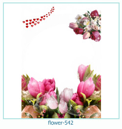 flower Photo frame 542