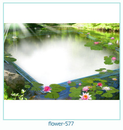 flower Photo frame 577