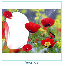 flower Photo frame 775