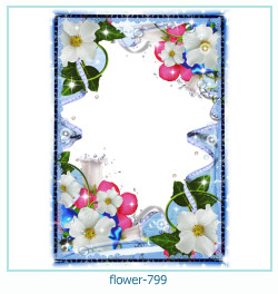 flower Photo frame 799
