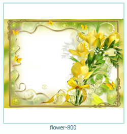 flower Photo frame 800