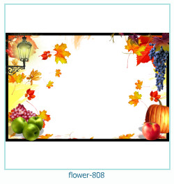flower Photo frame 808
