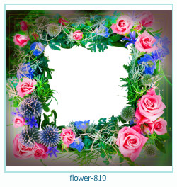 flower Photo frame 810