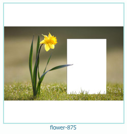 flower Photo frame 875