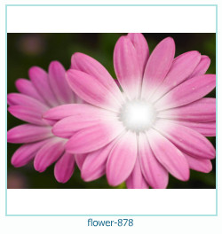 flower Photo frame 878