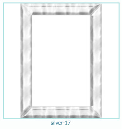 silver Photo frame 17